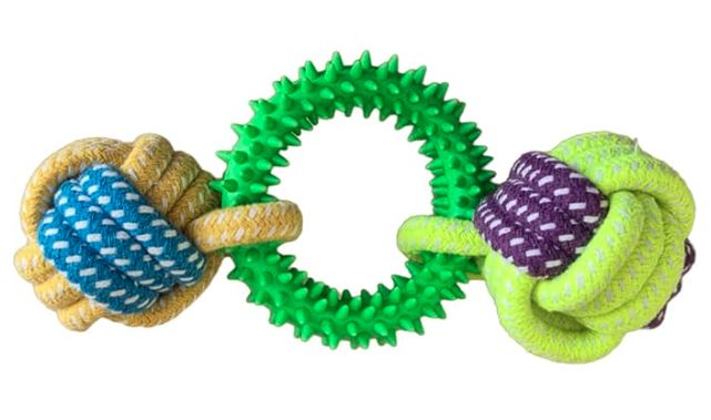 Dog Chew Toy