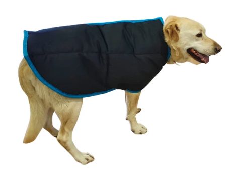 Dog Jacket